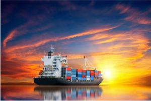 Quality Customs Clearance DDP Sea Shipping From China To USA Canada wholesale