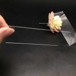 Original Float Glass Sheet For Table / Cabinet Glass