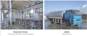 Quality Small Milk Processing Machine , 220V/380V Dairy Processing Equipment wholesale