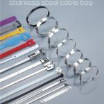 Stainless steel cable tie