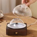 Glass Wooden Essential Oil Aroma Diffuser ▕ DN-839
