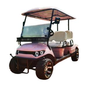 Quality Customized Electric Golf Car Sightseeing Vehicle Design New Modern For Outdoor wholesale