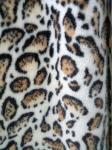 680GSM Leopard Print Polyester Fabric For Unique Fashion 100% Polyester Fabric