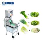 Professional Automatic Leaf Vegetable Cube Cutting Machine With Ce Certificate