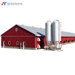 Q345 Q235 Steel Poultry House Onsite Installation With Automatic Equipment
