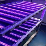 UV led blacklight tube light 600MM 1200MM 85-265V AC CE RoHS ETL