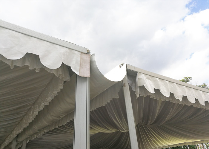 Pagoda Tent Commercial Party Wedding Party Bline Tent Alpain Tent 10x10m 6x6m 5x5m With Ceiling And Curtain