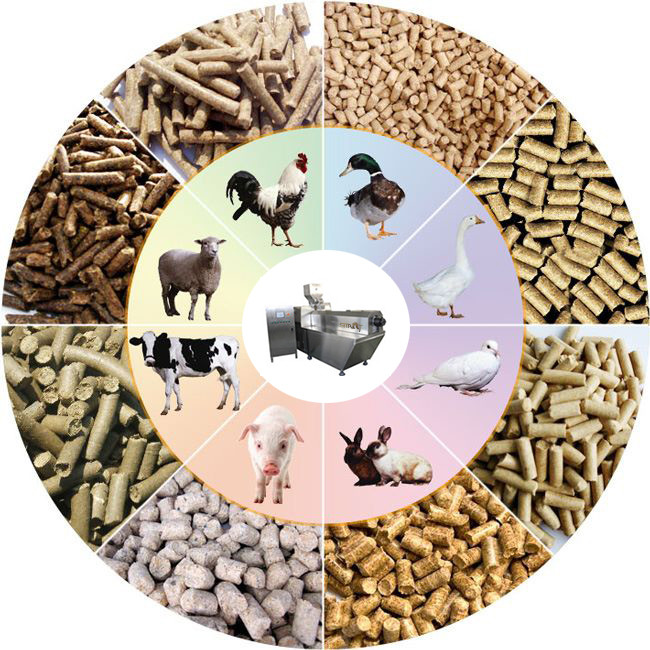 Animal Feed 200kg/H Dog Food Kibble Production Equipment