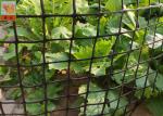 Heavy Duty Fence 50CM Garden Mesh Netting