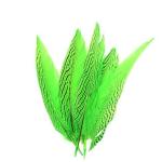 Shipping Worldwide Silver Pheasant Feather for Carnival Costumes and Party
