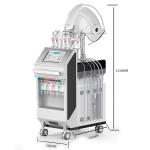 Skin Tightening Wrinkle Removal 100v Multifunction Beauty Machine For Salon