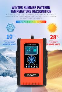 Quality GEL WET AGM 12.6V Lifepo4 Lithium Phosphate Battery Charger wholesale