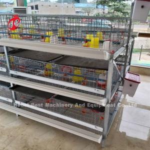 Quality A Or H Type Broiler Chicken Cage 96 Matured Broilers Capacity Emily wholesale