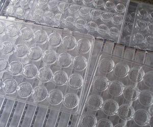 Quality Chocolate Polycarbonate moulds wholesale