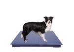 Carbon Steel Plate Heavy Duty Platform Floor Scale Large 330lb 150kg Capacity