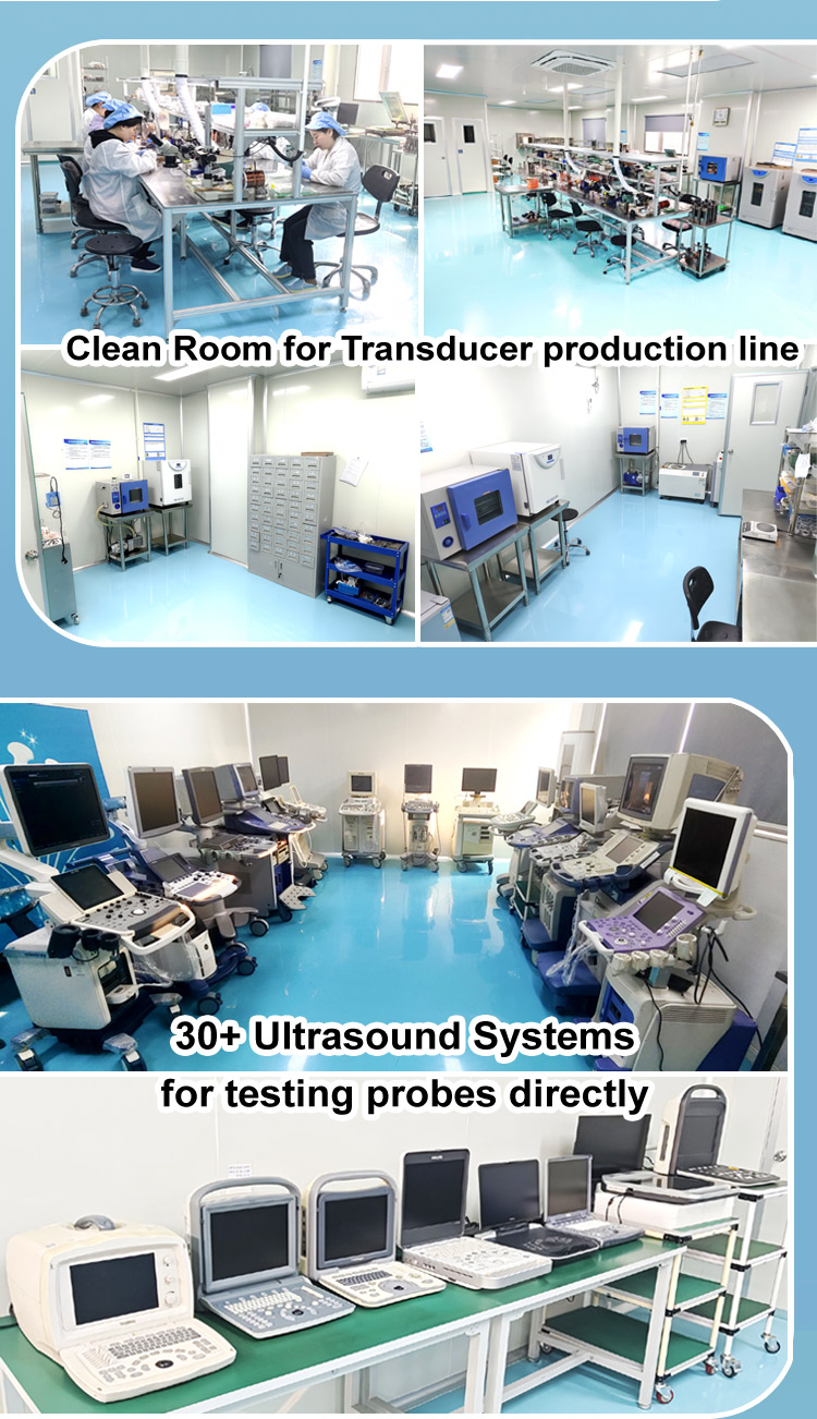 Diagnostic Ultrasound Transvaginal Probe Aloka UST-9124 SSD 1000 Ver4.0 up/3500 Alpha 6 F31 F3 Prosound 6