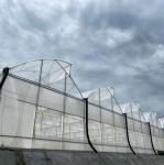 Multi Span Agriculture Greenhouse Sawtooth With Cooling System Nursery Seedbed