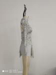 Silver Girls Ballet Clothes For Kids , Womens Ballet Leotards