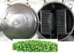 High Performance Vacuum Freeze Machine 100kg/Batch