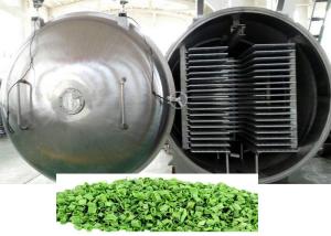 Quality High Performance Vacuum Freeze Machine 100kg/Batch wholesale