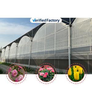 Quality Agricultural Tunnel Greenhouse Plastic Film Multi-span Strawberry Greenhouse for Sale With Ventilation System wholesale