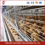 20-25 Years Lifespan Poultry Breeding Cage System Poultry Raising Cage System
