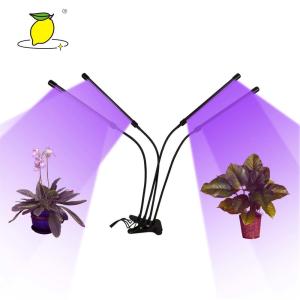 Quality USB Plug Aluminum PVC Led Plant Full Spectrum Phyto Lamp wholesale