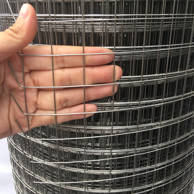 High Quality square wire mesh1x1 1x2 inch Hot Galvanized Welded wire mesh From Anping