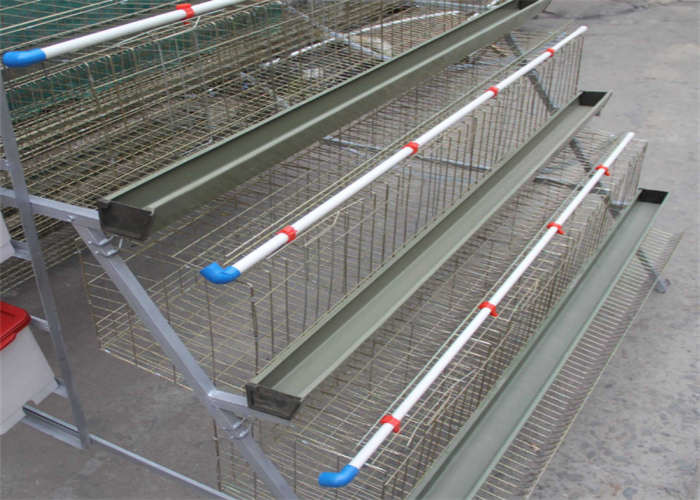 160 Birds Layer Chicken Coop Q235 Conventional Cages For Laying Hens