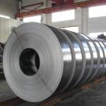 Stainless Cold Rolled Steel Strip Polished 304l 304 Stainless Metal Strips 16mm
