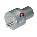 1250rpm 12V High Torque Brushed Motor Micro Liftting Motor Garden Tools