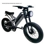 Front Fork Suspension 20 Inch Electric City Bike For Urban Commuters 48V Ebike