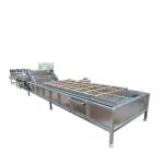 Central kitchen fruit and vegetable washing machine clean vegetable food