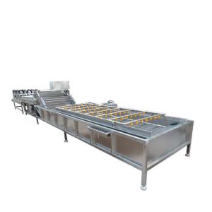 Quality Customized Fruit Vegetable Washing Machine Ginger Bubble Washing Machine wholesale
