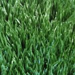 Artificial Soccer Grass / Artificial Grass Waterproof