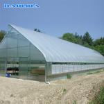 Vegetable Tunnel Plastic Film Greenhouse Single Span Hot Dip Galvanized