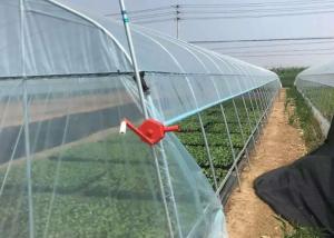 Quality Plastic Polyethylene Film Greenhouse , Hydroponic Greenhouse For Vegetable Growing wholesale