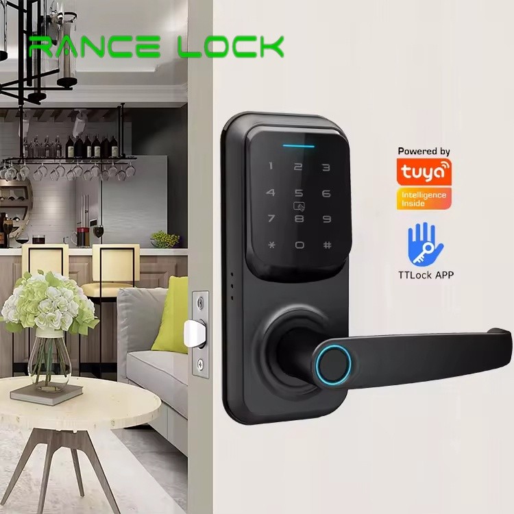 Silicone Keypad Fingerprint Door Lock Black Digital Keyless Door Lock Electronic