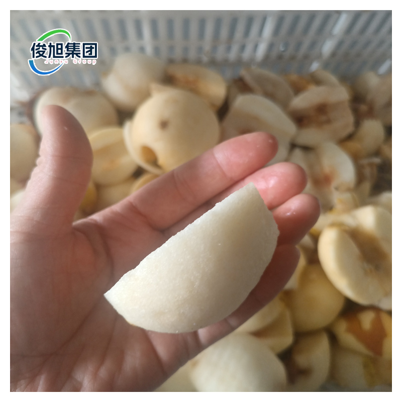 Industrial Four Station Onion Peeling Machine for High Capacity Production by Junxu