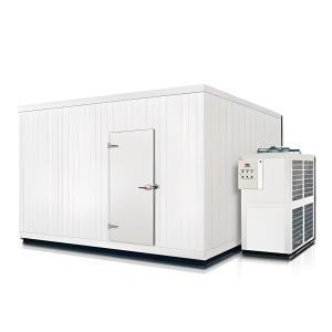Quality Commercial Cold Storage Room Stainless Steel Cold Room And Freezer Room wholesale