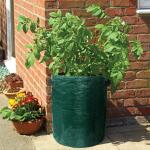 10 Gallon Potato Grow Bags, Planter Pouch Bags for Vegetables, Fruits and