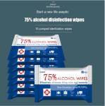 10pcs Large Wet Wipes Disinfectant Hand Wipes For All Purpose Cleaning OEM / ODM