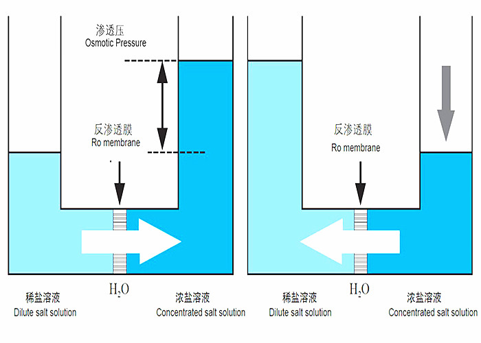Professional Ro Equipment Water Treatment System One Stage Simple To Operate