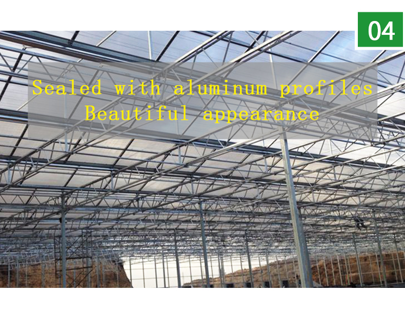 Large Glass Covered Garden Greenhouses for Versatile Planting Options