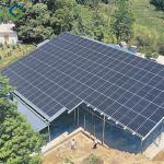Agriculture Commercial Transparent Solar Panels Greenhouses Energy Saving