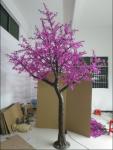 cherry blossom tree with lights