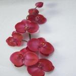 Real Touch PU Phalaenopsis