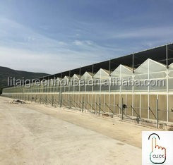 PE Double Film Tunnel Inflatable Greenhouse for All-Weather Protection