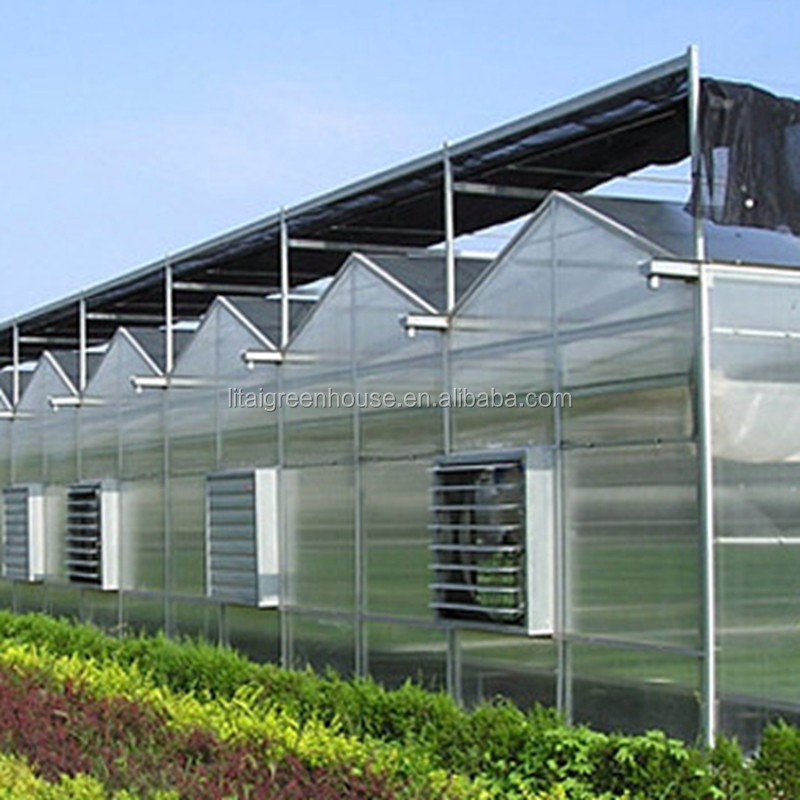 Food Grade PVC Planting Trough for Large-Scale Hydroponic Greenhouse Growing System