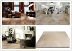 Garden Cement Look Porcelain Tile 20mm Thickness Compression Resistance